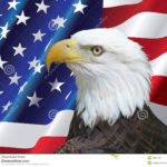 american-bald-eagle-portrait-usa-flag-background-34857597