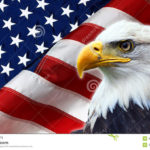 north-american-bald-eagle-american-flag-background-49007264